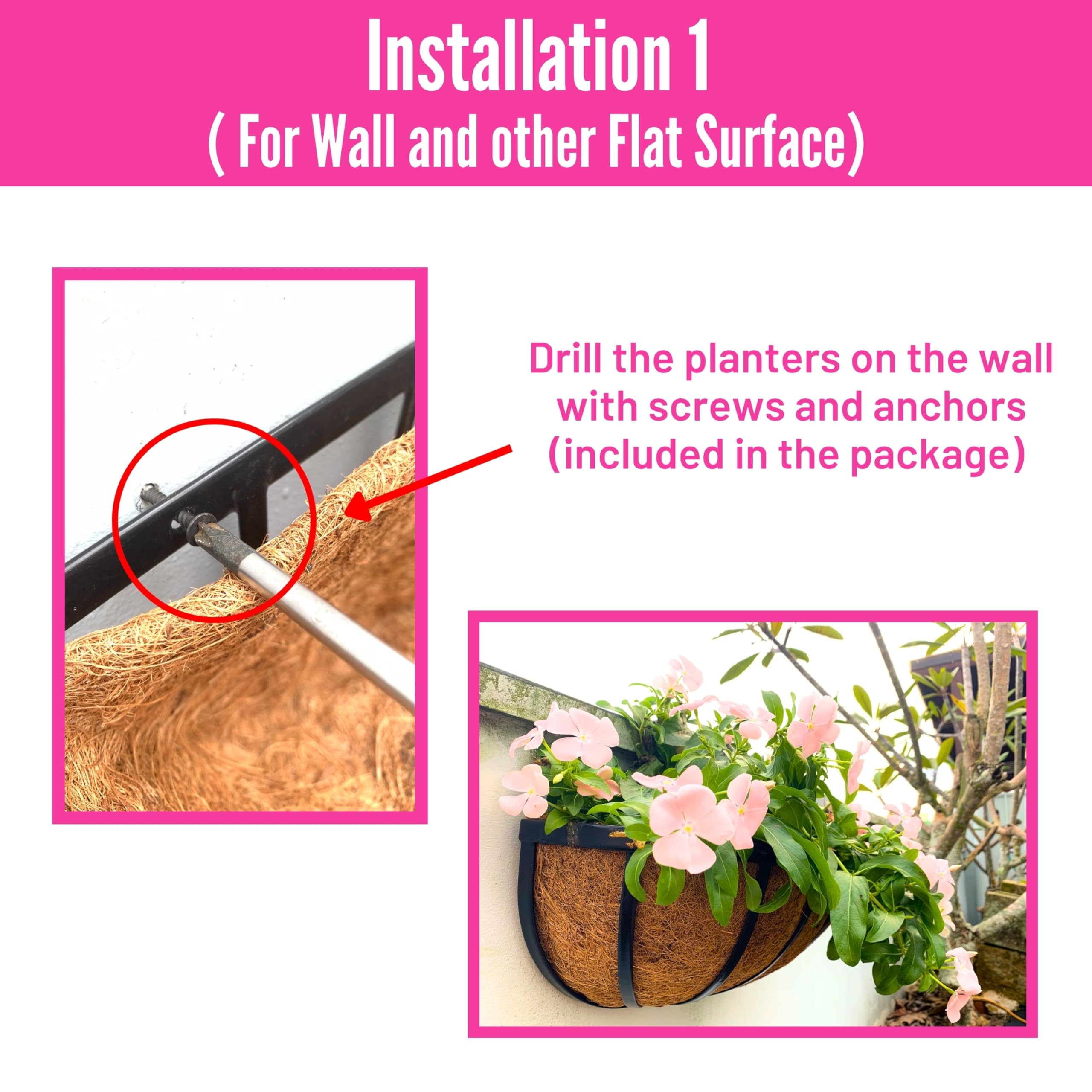 LáLáGreen window-sill installation providing curb appeal and space saving