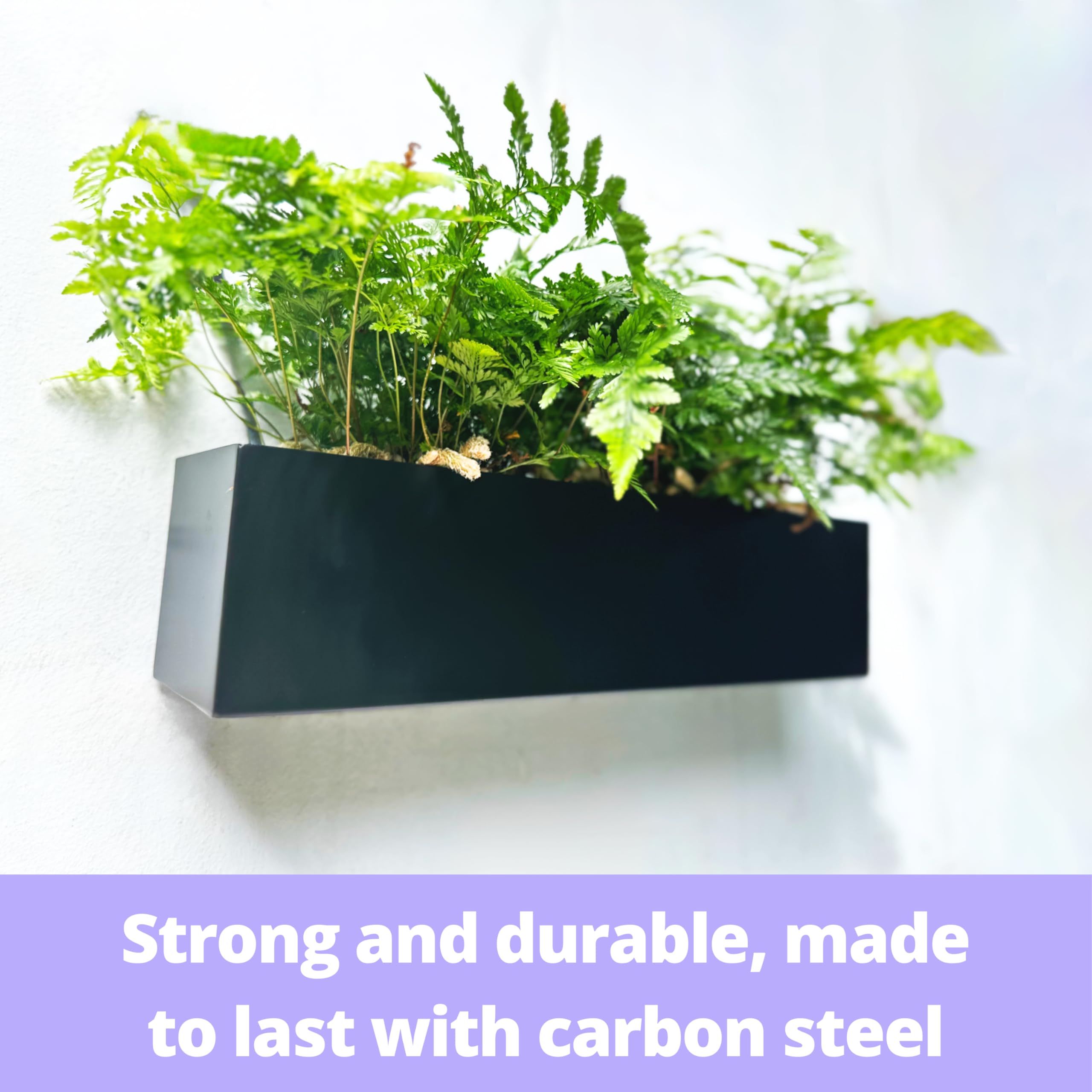LaLaGreen planter installed on window sill with succulents offering tidy space-saving display