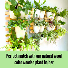 LáLáGreen set mounted on balcony railing demonstrating outdoor-sheltered display benefits