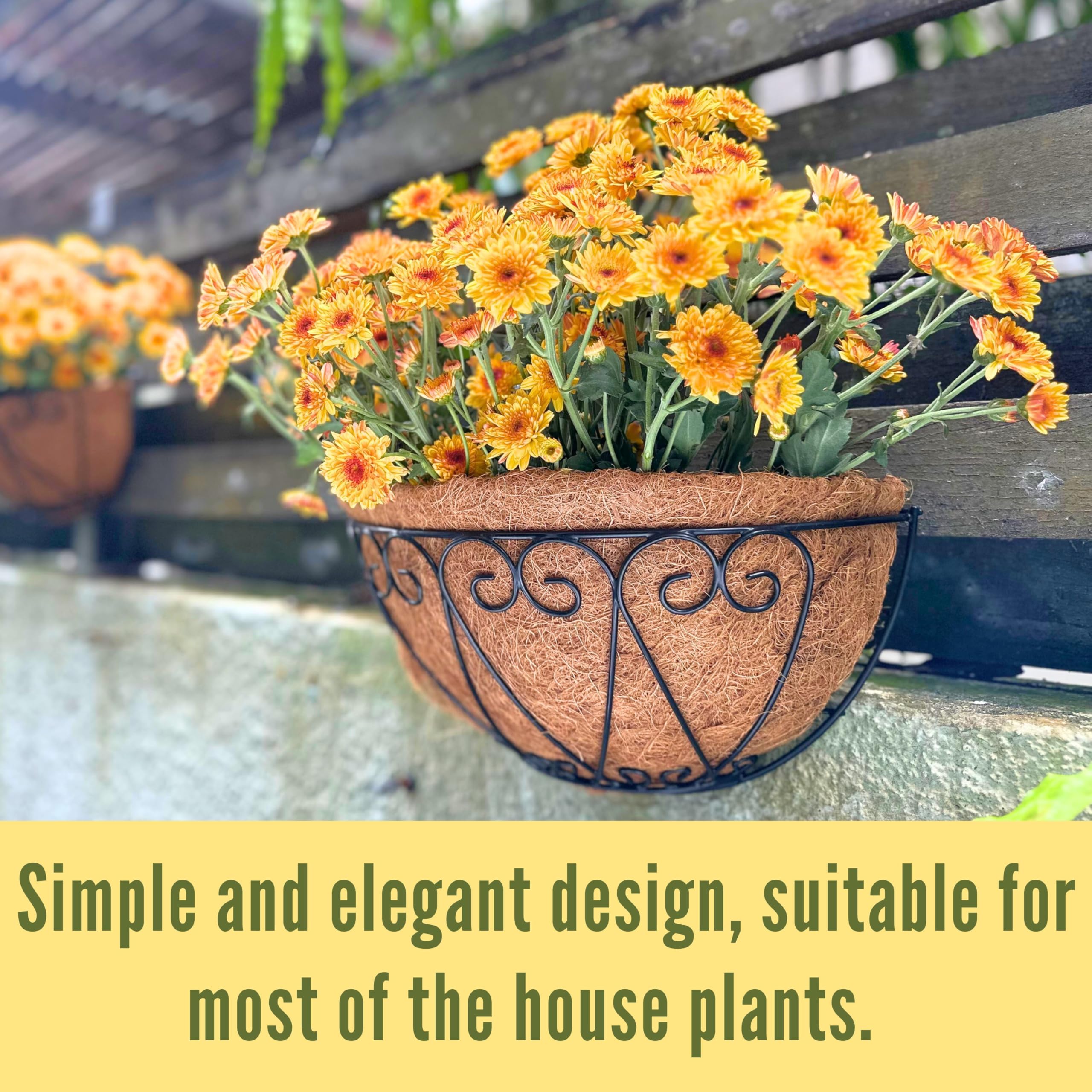 LáLáGreen planters mounted on a wooden fence illustrating outdoor placement and curb appeal