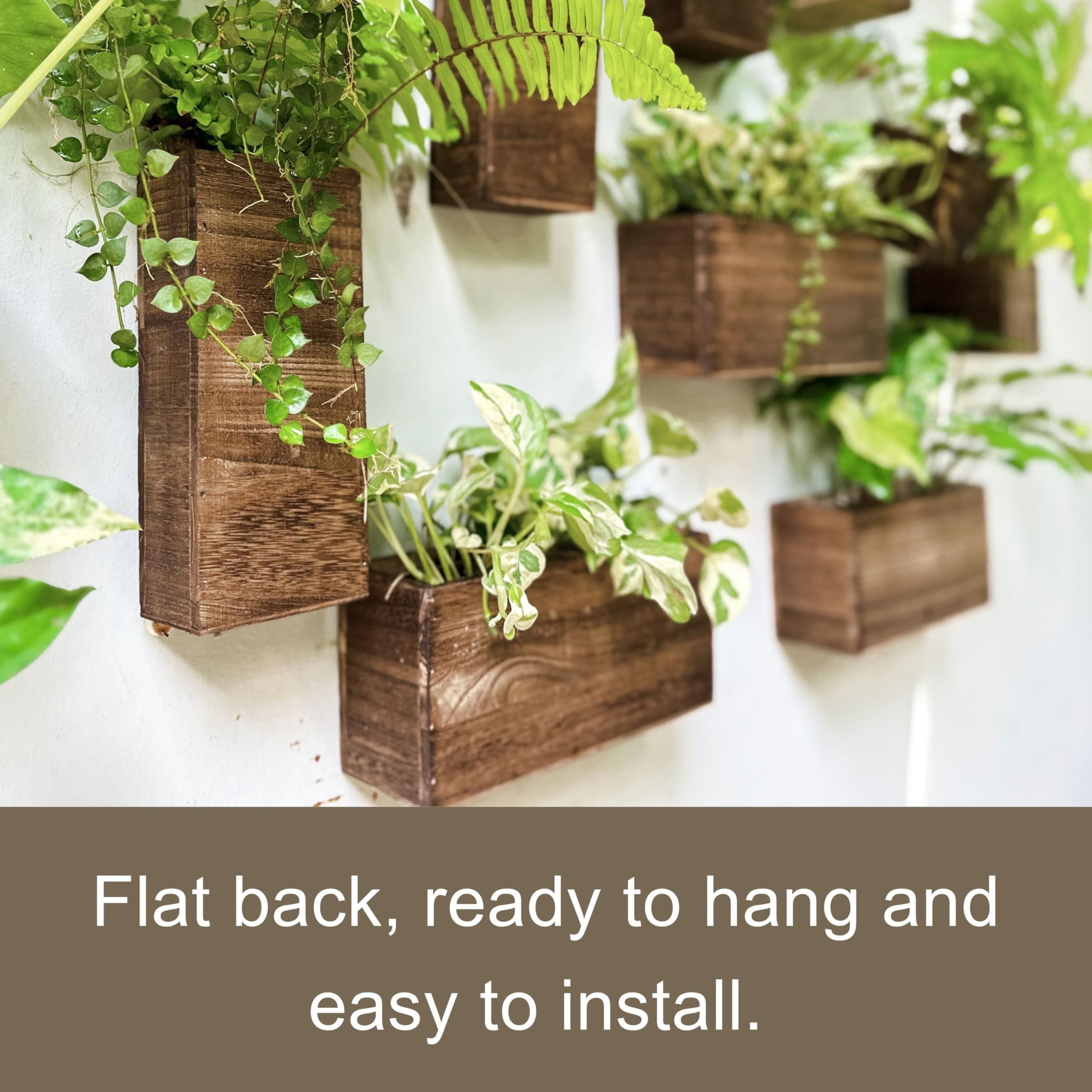 LáLáGreen mounted row on drywall showing neat vertical garden benefit