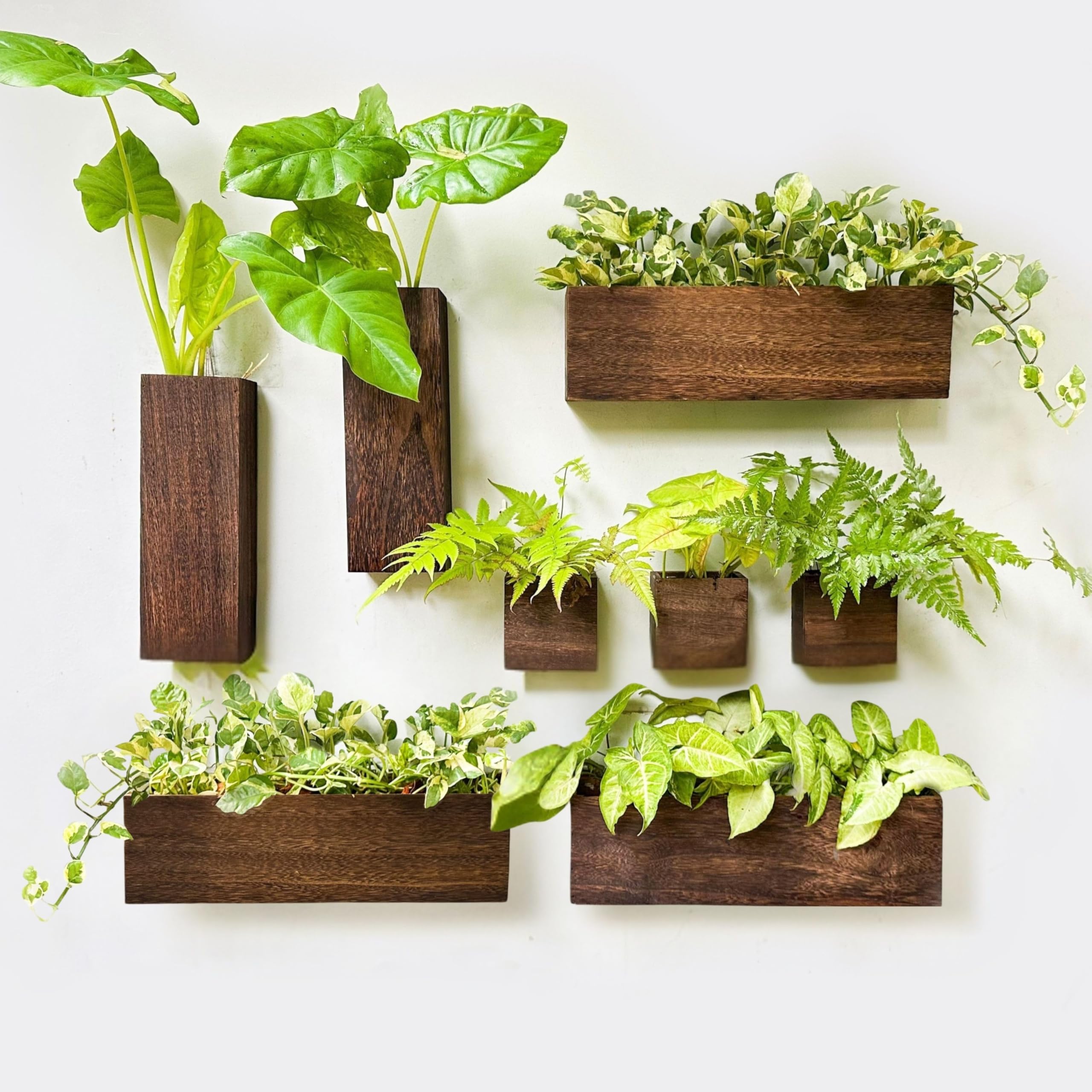 LáLáGreen front view of wood planter box showing clean lines and ready-to-hang benefit