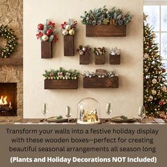 LáLáGreen cluster of planters mounted on wall creating a living feature without floor clutter