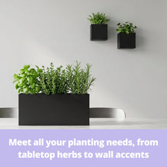 LáLáGreen planters holding kitchen herbs for fresh cooking and organized countertop-free storage