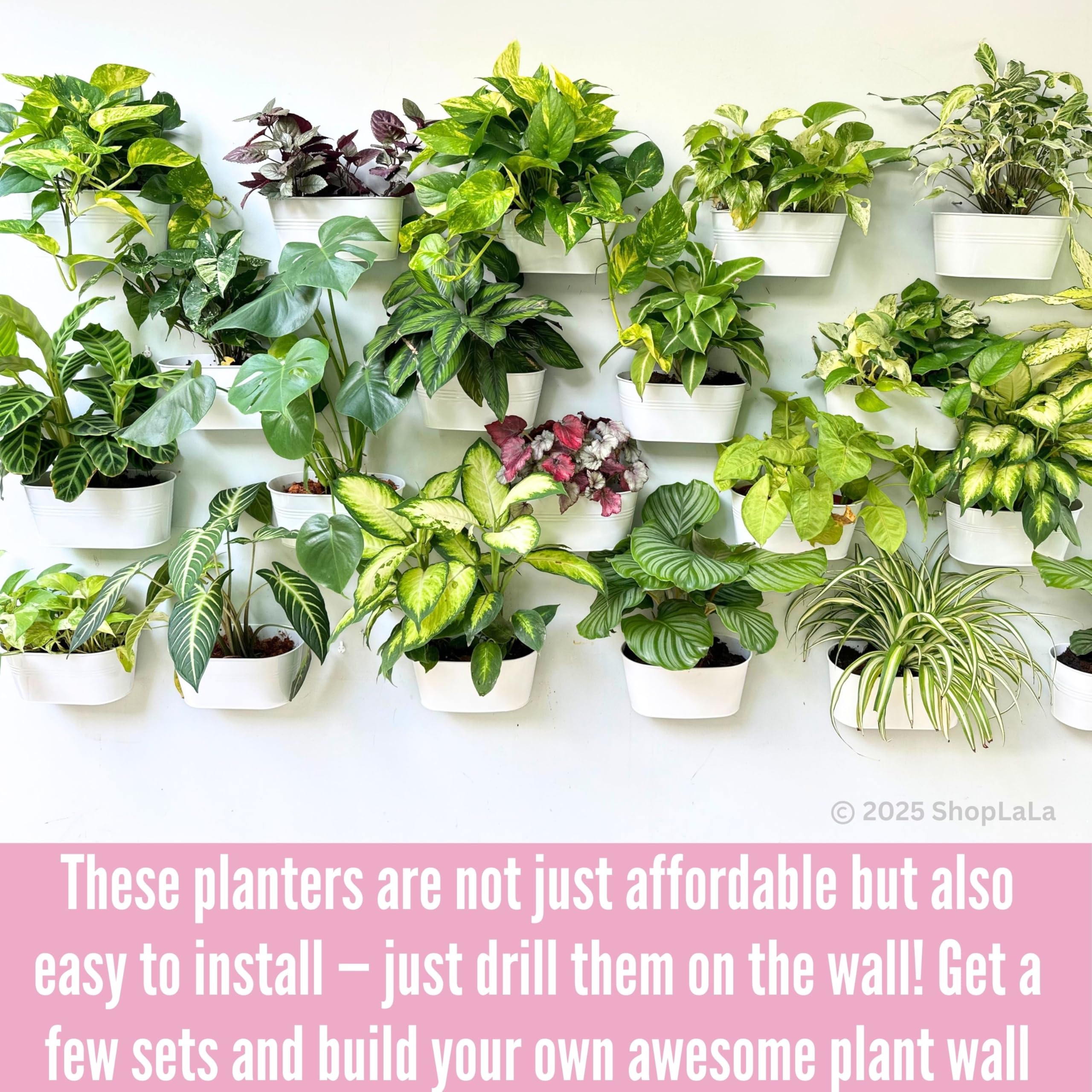 LáLáGreen five-planter arrangement showing coordinated display and repeatable style
