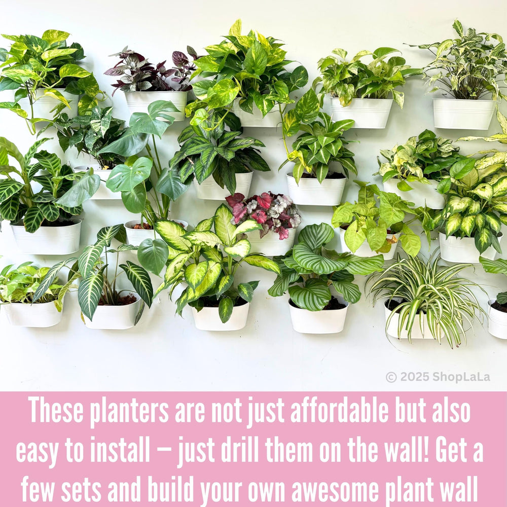 LáLáGreen five-planter arrangement showing coordinated display and repeatable style
