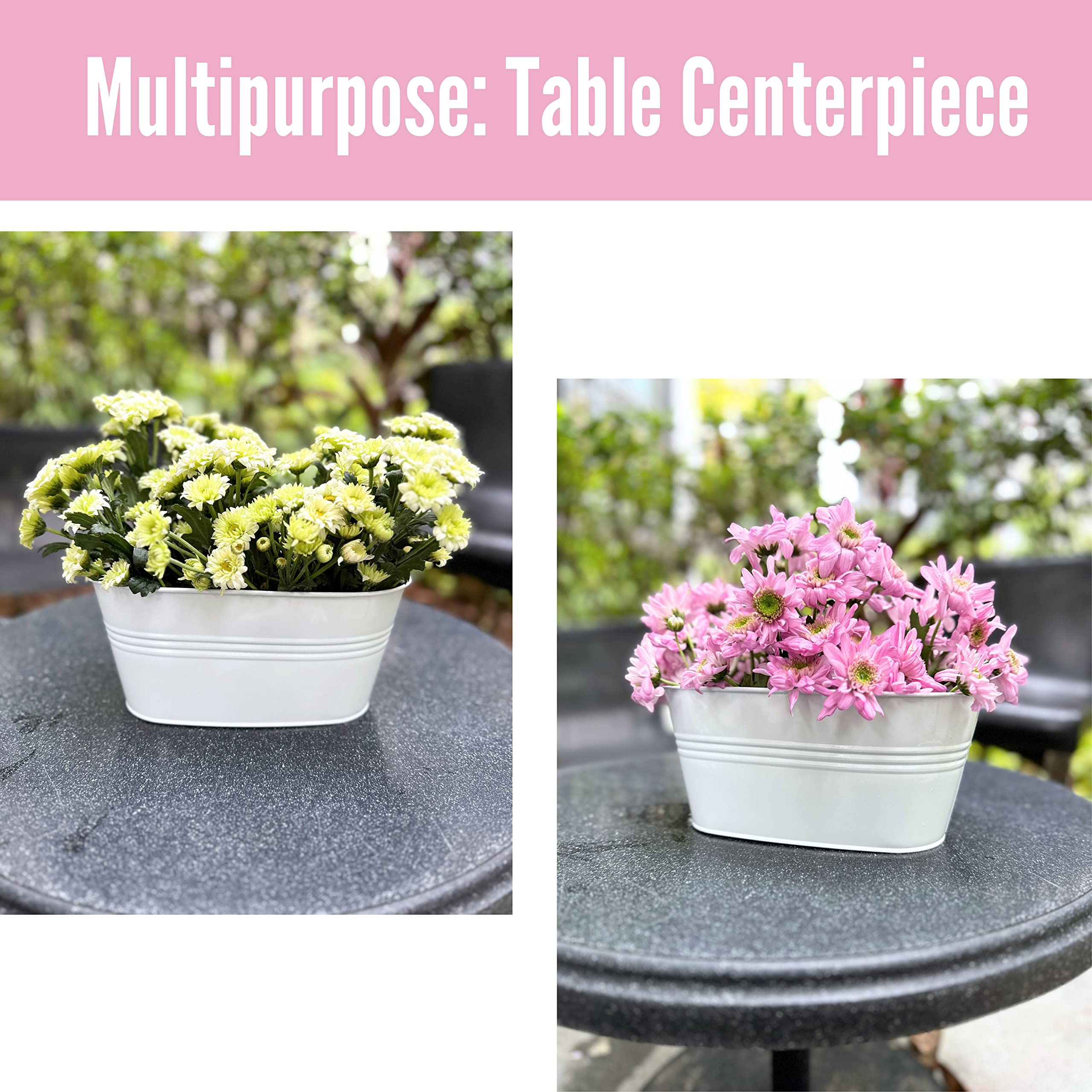 LáLáGreen planter held in hand for size scale showing compact 11.2-inch fit benefit