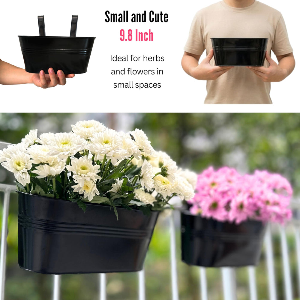 LáLáGreen six-pack arranged for storage or gifting showing coordinated set
