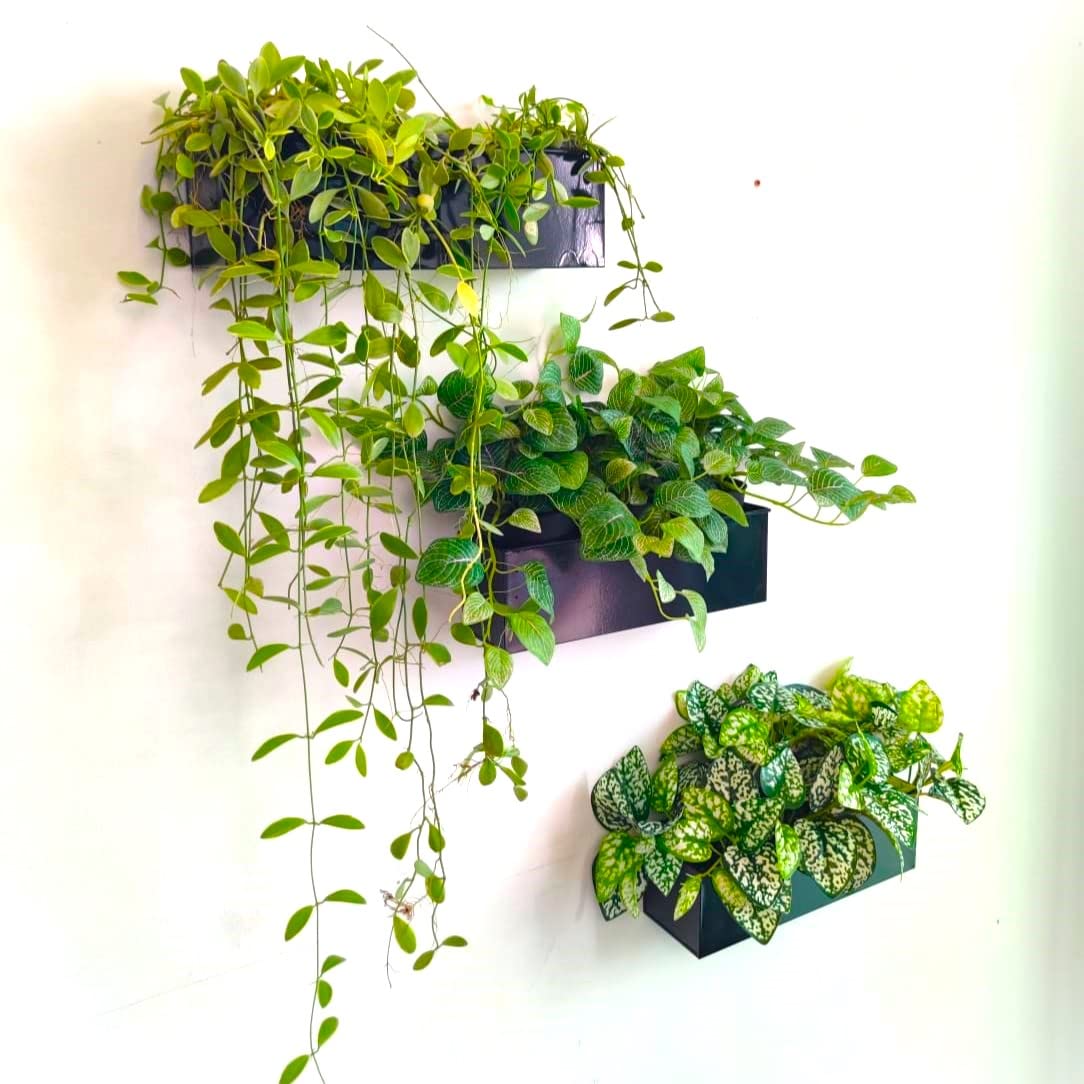 LáLáGreen next to ruler for size comparison helping plan placement and fit