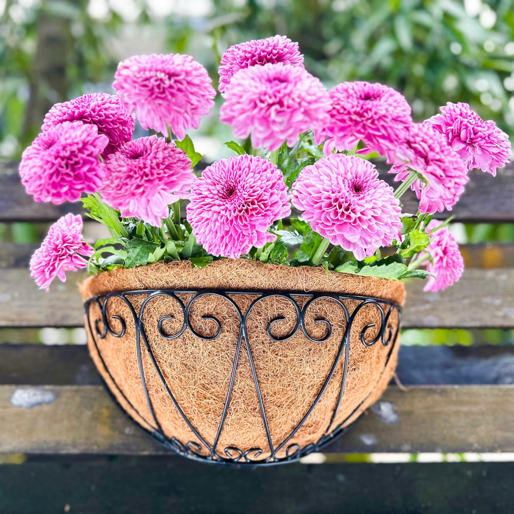 LáLáGreen planter growing strawberries showing edible planting and space-efficient harvests