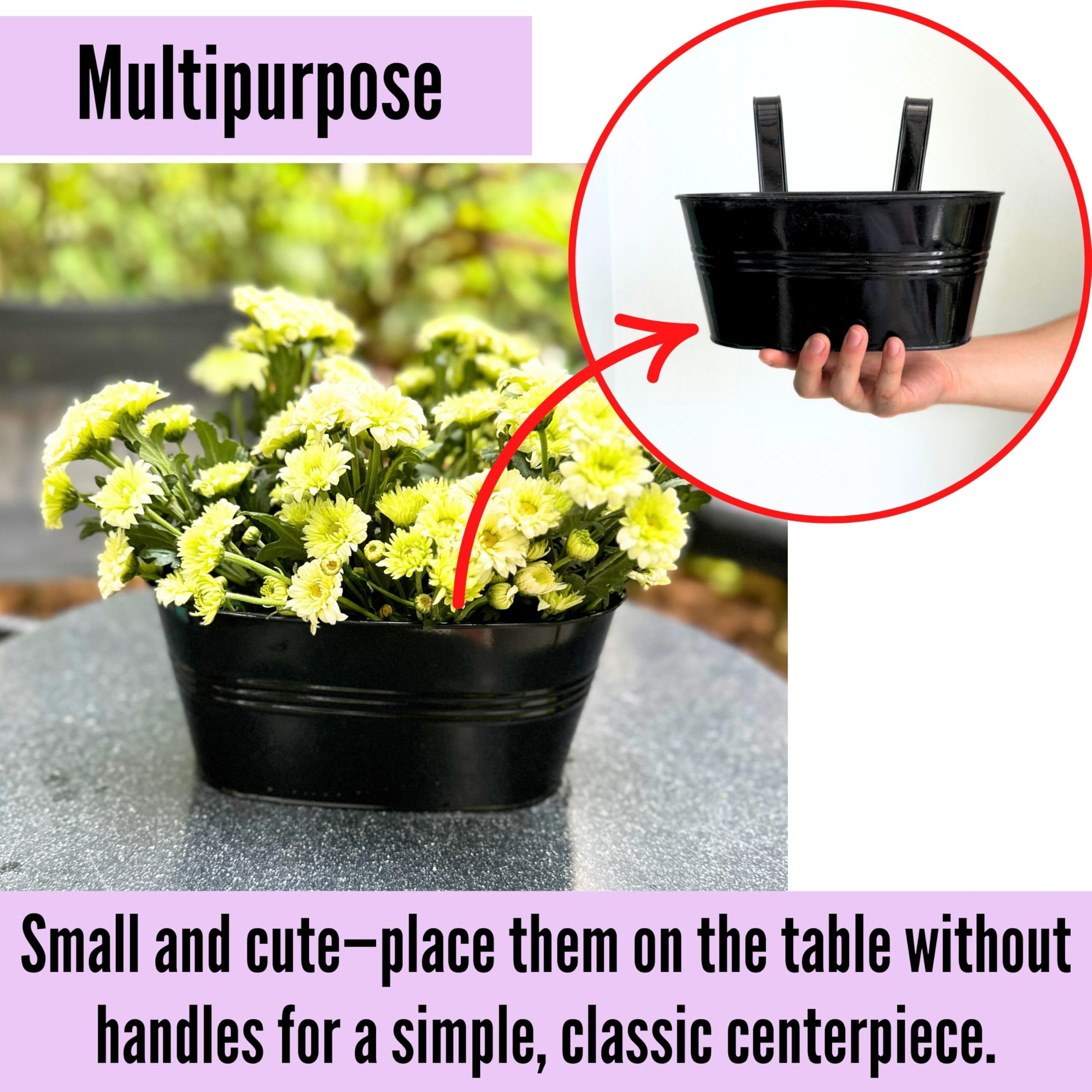 LáLáGreen on indoor windowsill growing herbs for convenient kitchen access