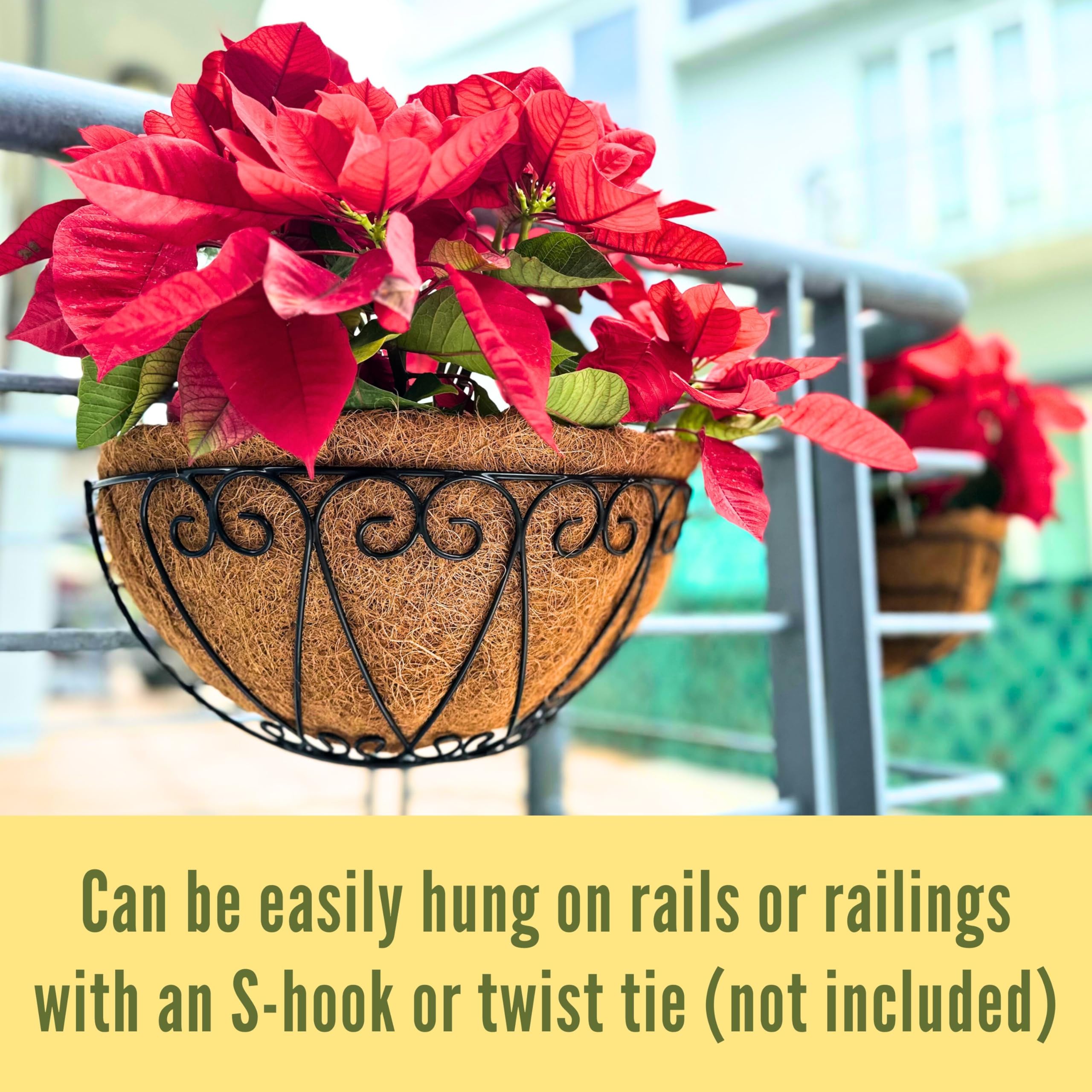 LáLáGreen planter filled with petunias demonstrating colorful blooms and cascading growth