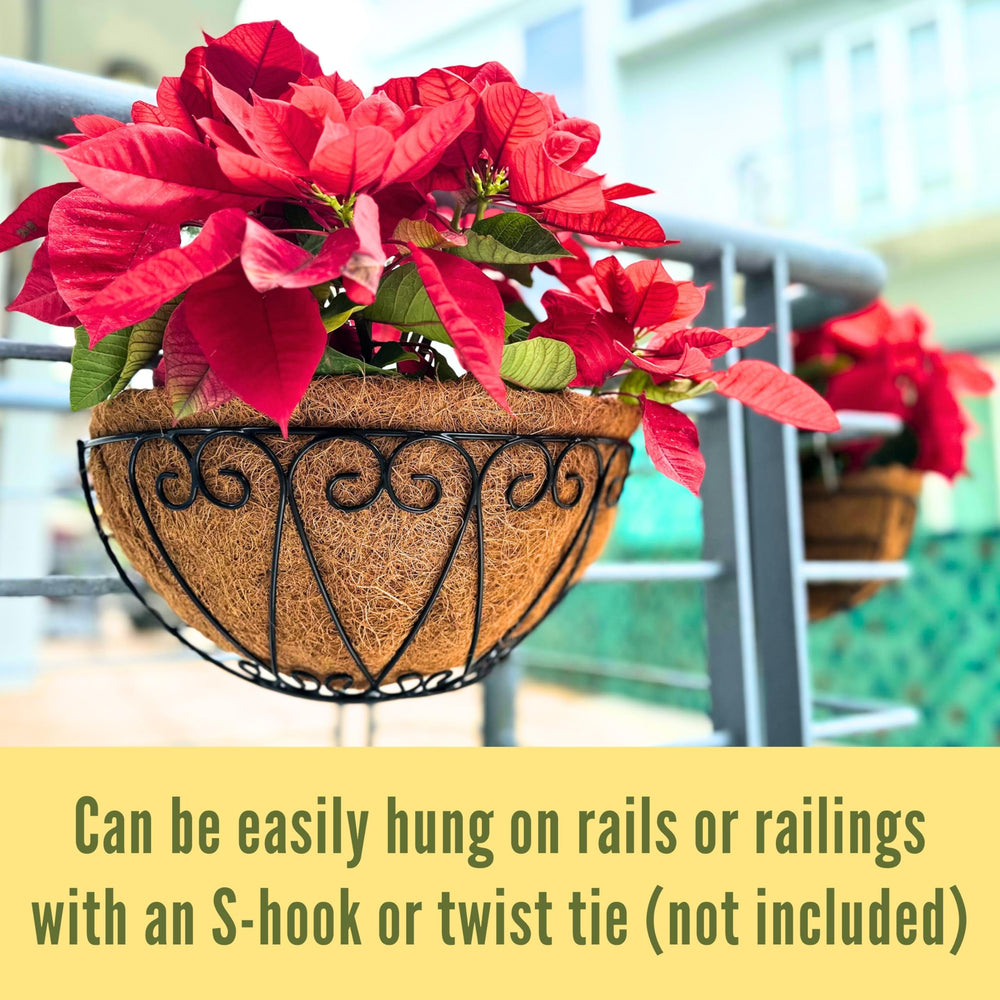 LáLáGreen planter filled with petunias demonstrating colorful blooms and cascading growth