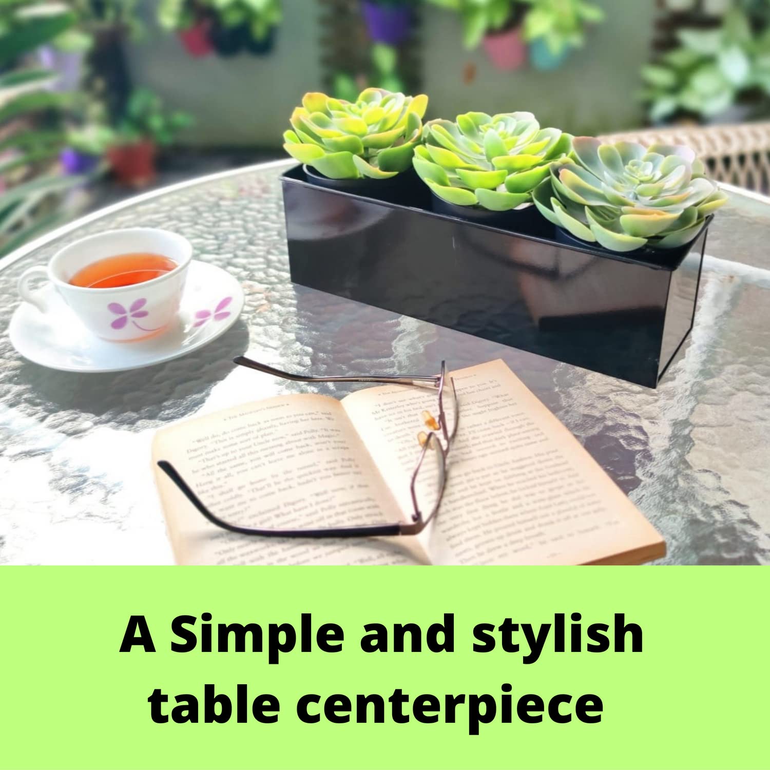 LáLáGreen with succulents arranged illustrating aesthetic display and low-maintenance greenery