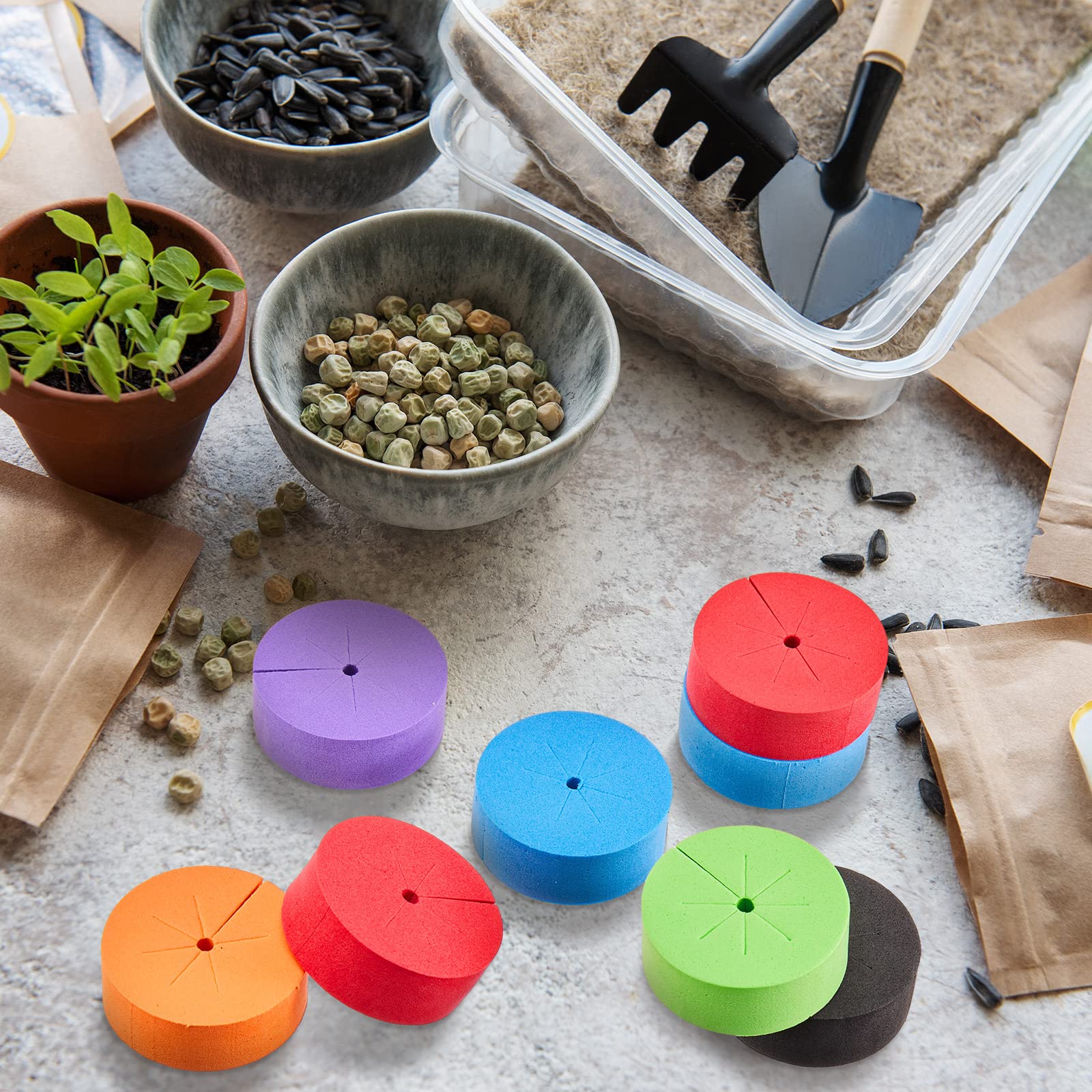 Lallisa spread of six collar colors aiding easy organization and strain tagging