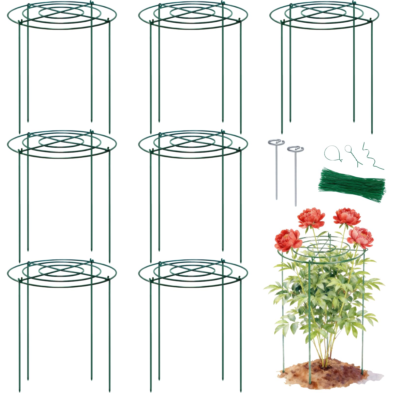 Lancisism front view of assembled cage showing tidy garden benefit