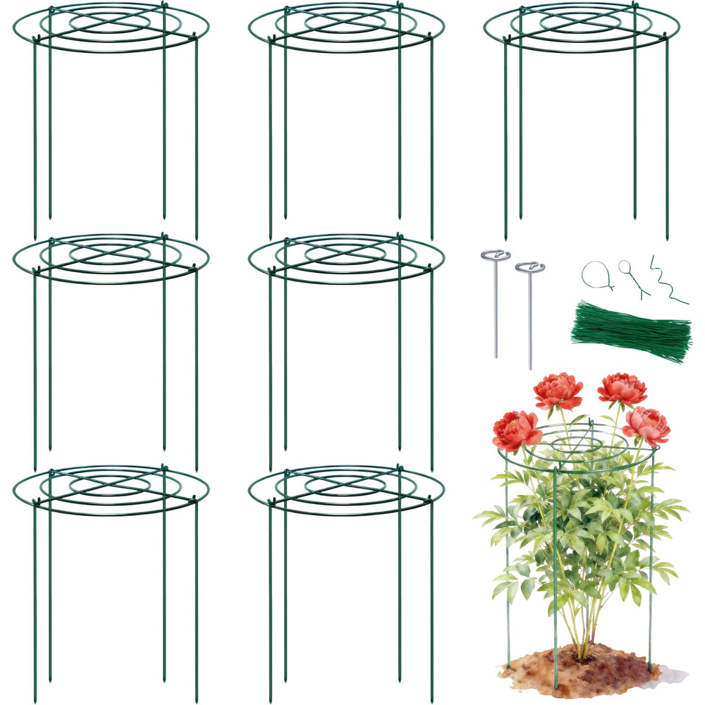 Lancisism front view of assembled cage showing tidy garden benefit