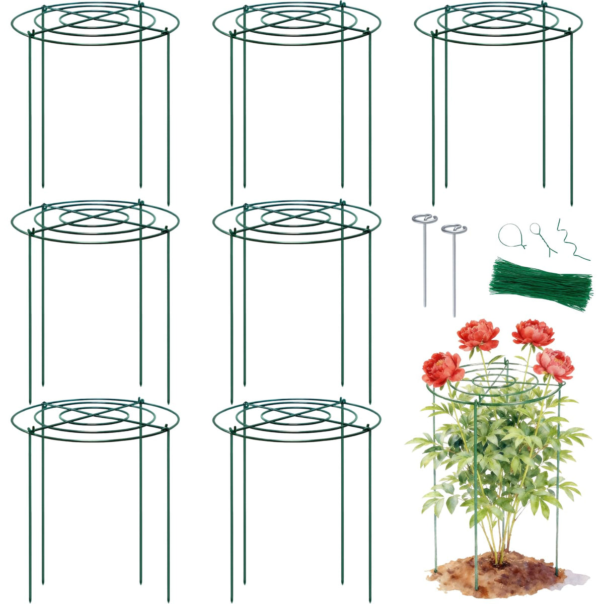 Lancisism front view of assembled cage showing tidy garden benefit