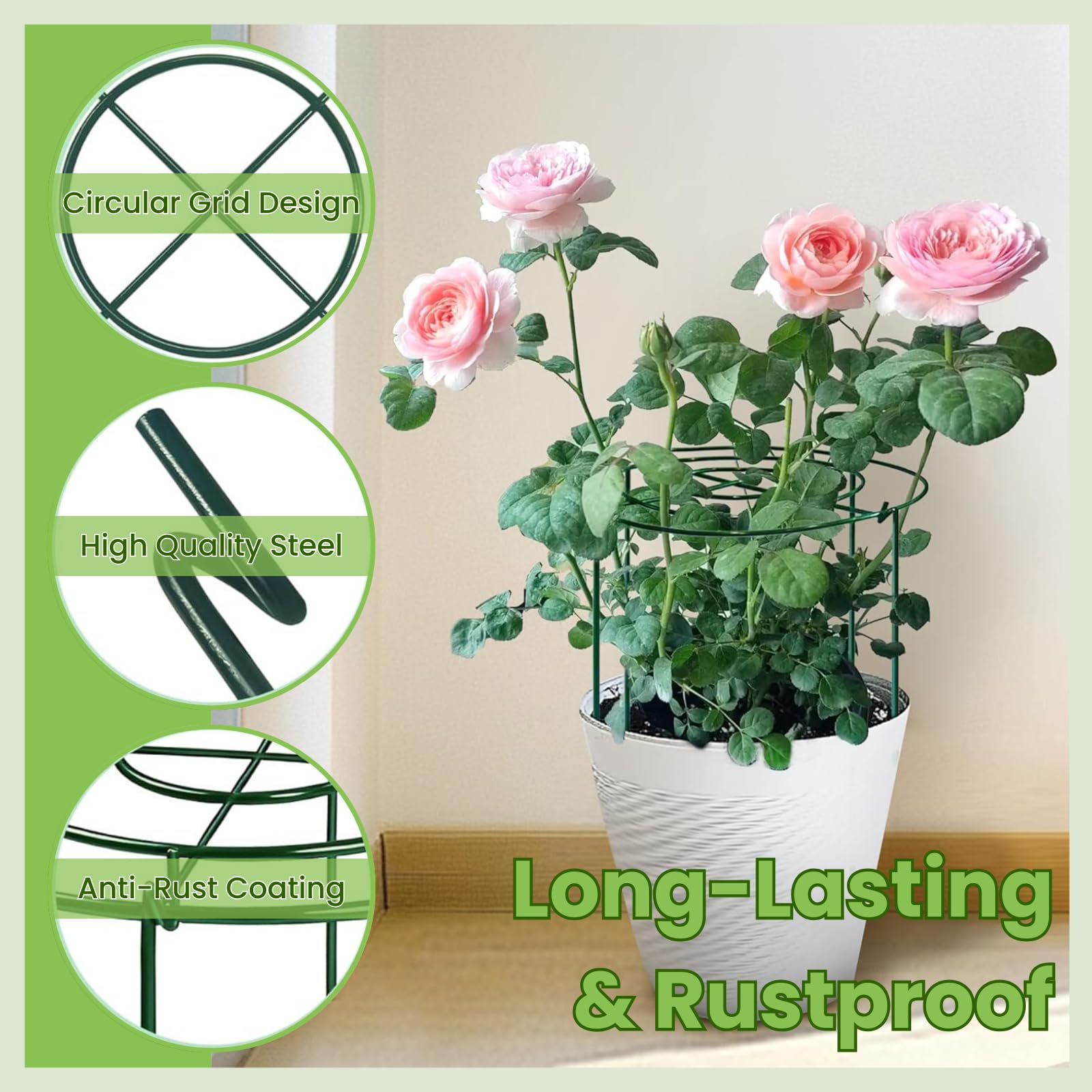 Lancisism grow-through support holding peony blooms upright