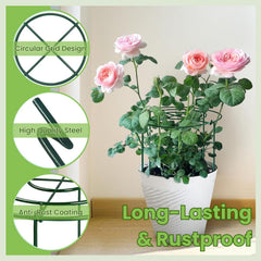 Lancisism grow-through support holding peony blooms upright