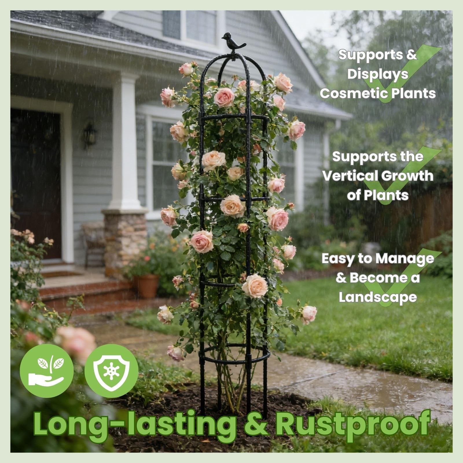 Lancisism obelisk support rings detail showing gentle plant-friendly contact