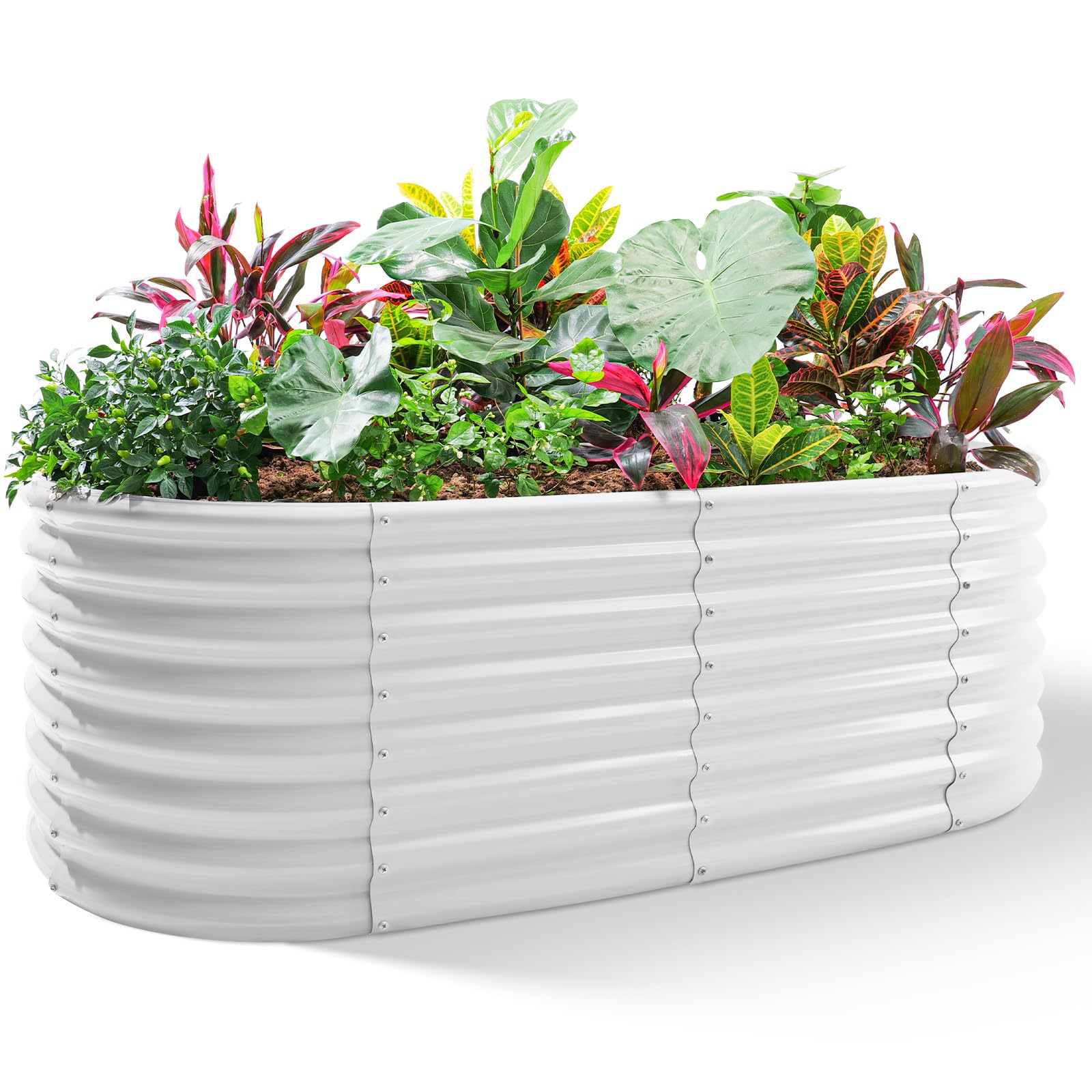 Land Guard front view of 4x2x2ft raised bed showing clean pearl white finish and capacity