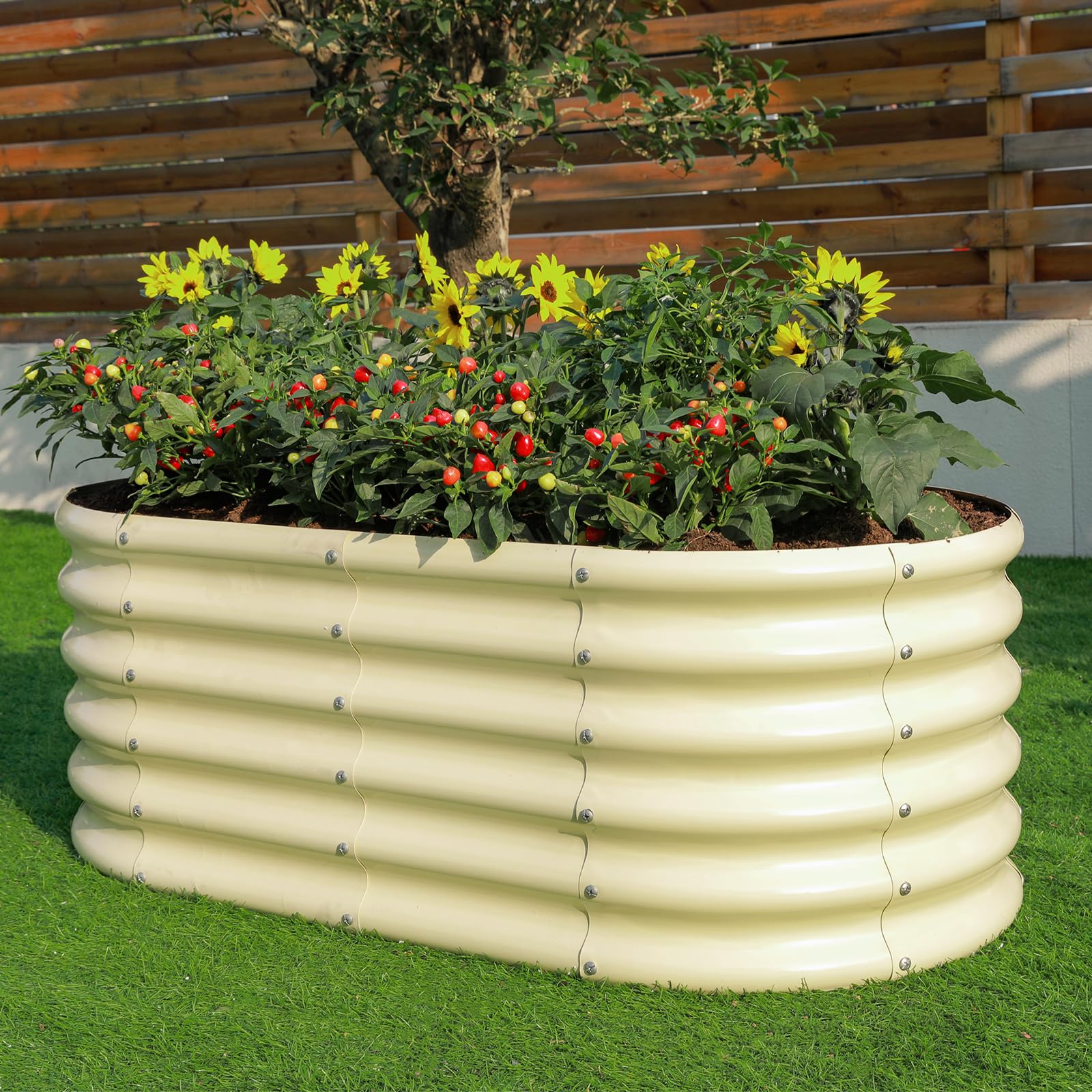 Land Guard planter in use with vegetables showing deep-root planting advantage