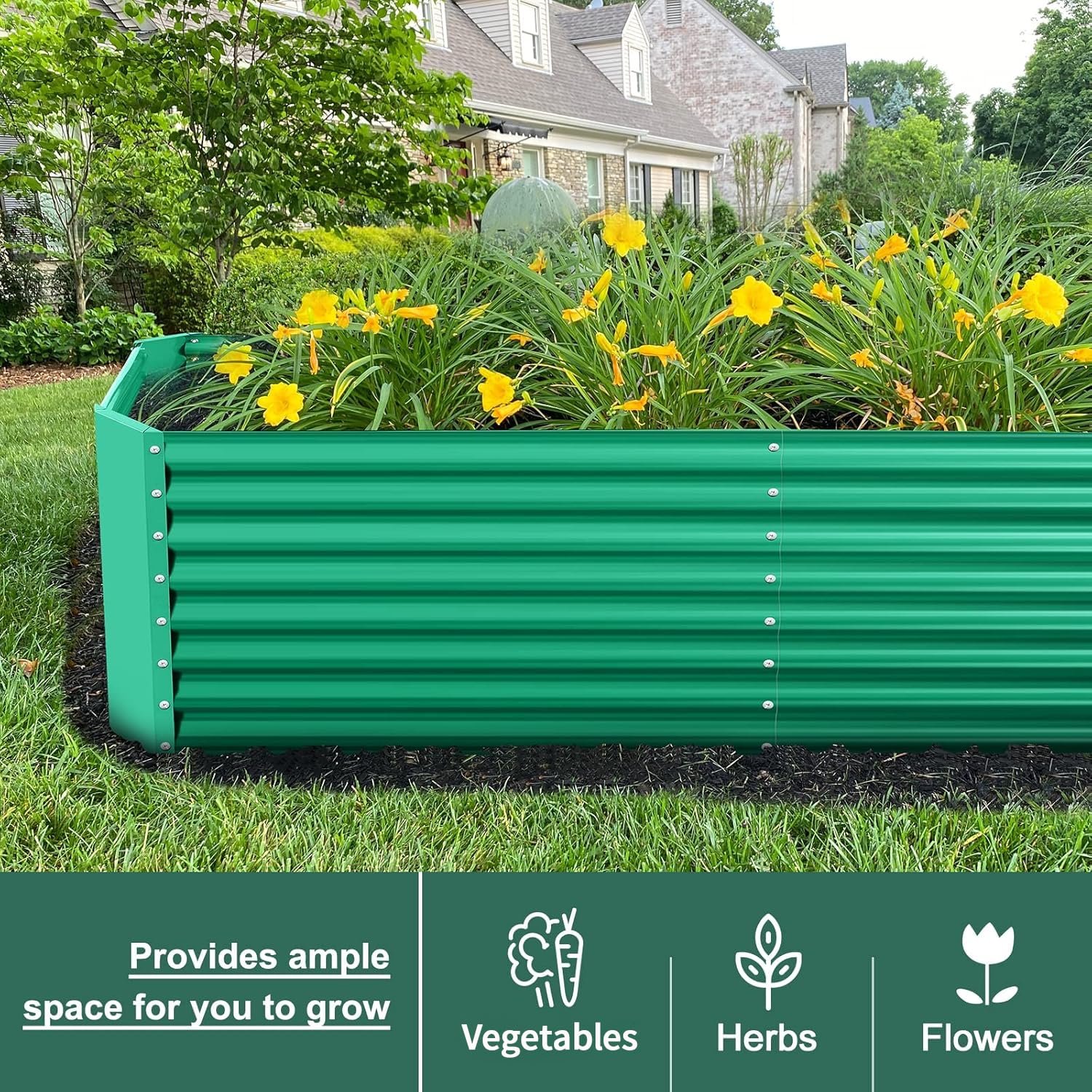 Land Guard open-base showing root access and improved drainage for healthier plants