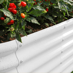 Land Guard open-bottom view showing drainage benefit and healthy root environment
