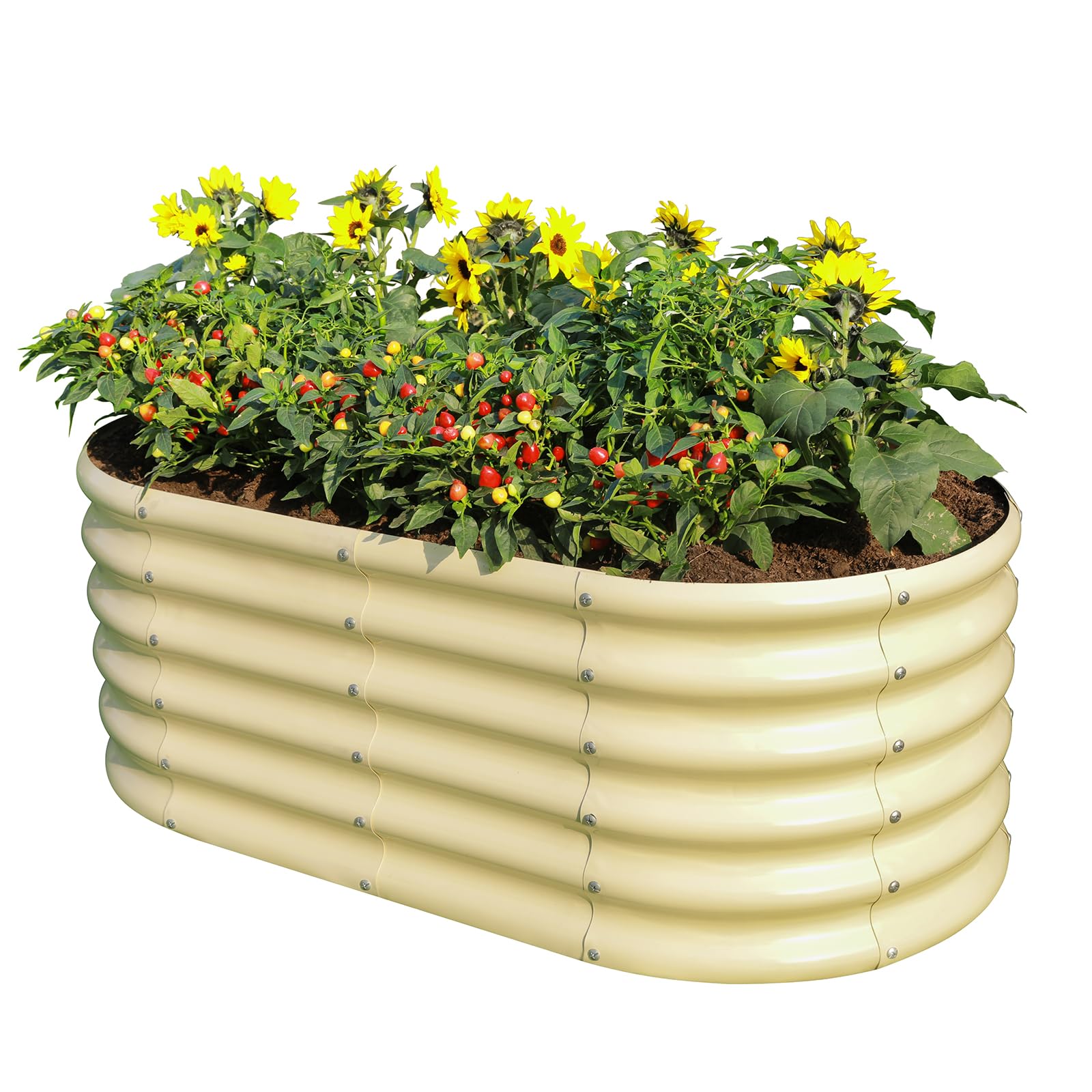 Land Guard front view of cream yellow oval raised garden bed showing shape and capacity