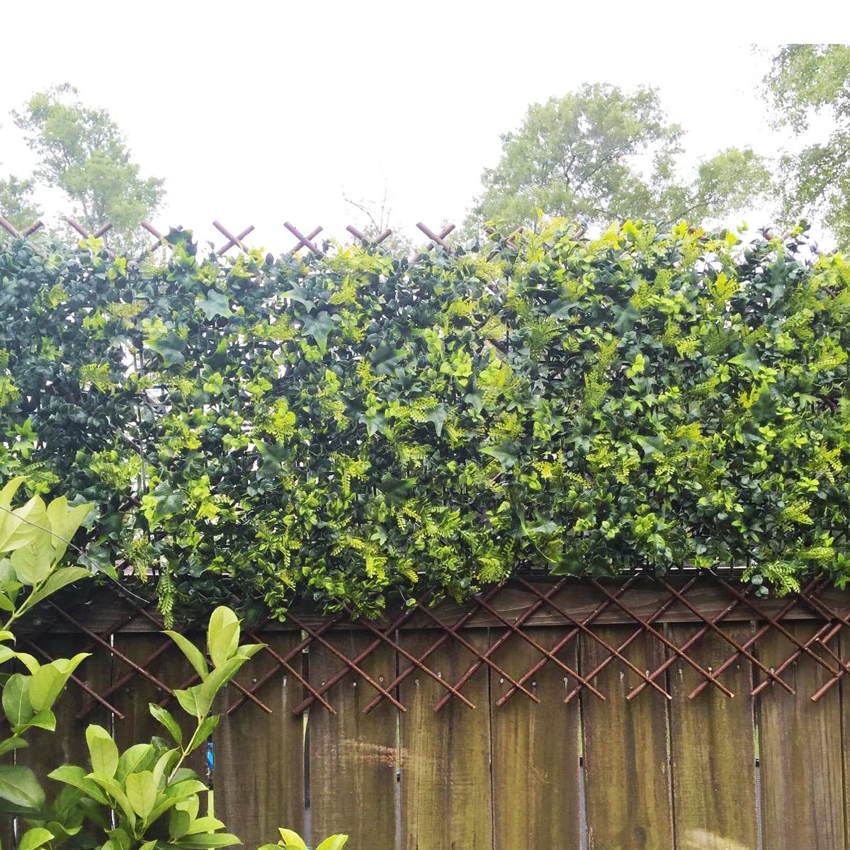 LANDGARDEN expanded trellis mounted on wall showing wide coverage