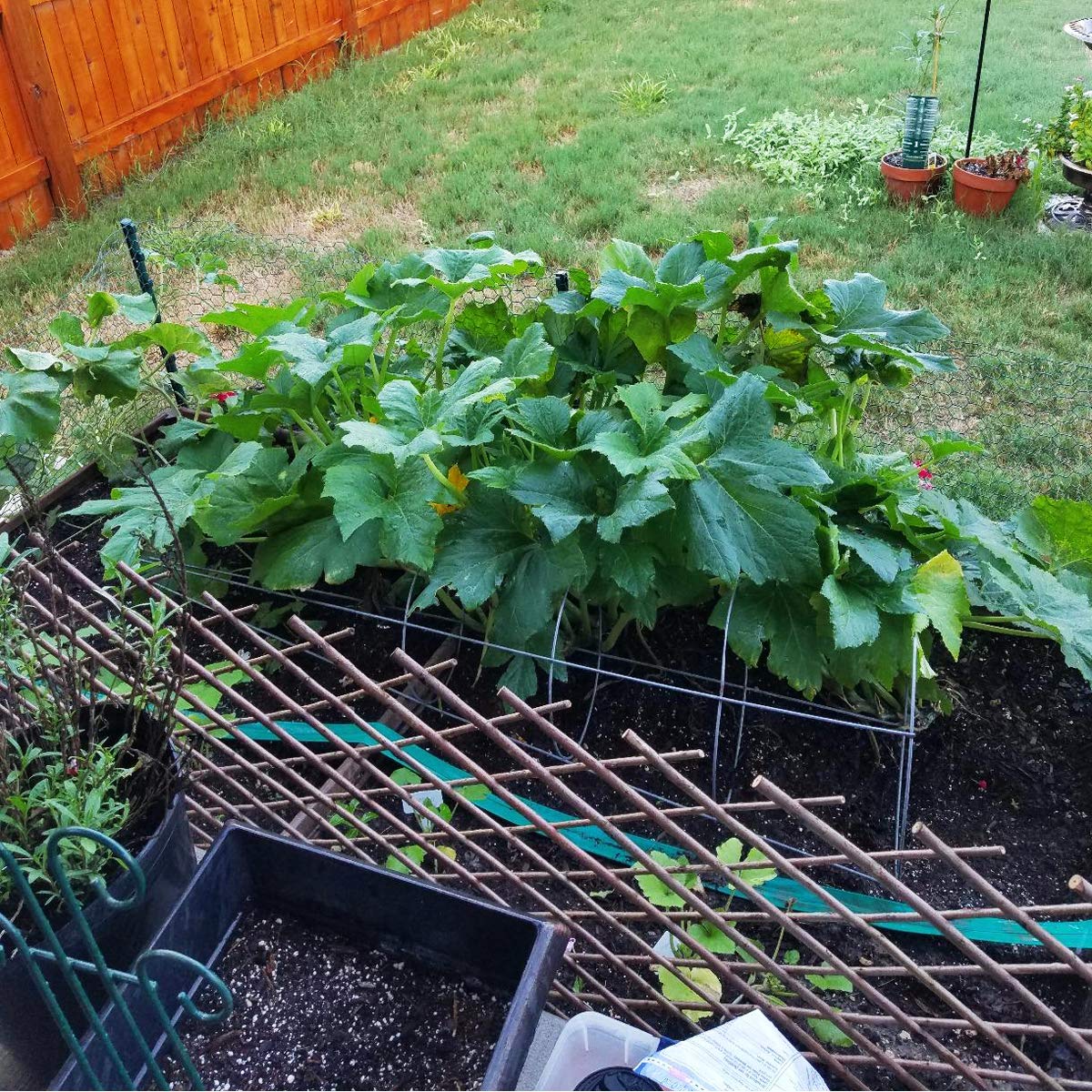 LANDGARDEN trellis supporting climbing rose showing plant training and vertical growth benefit