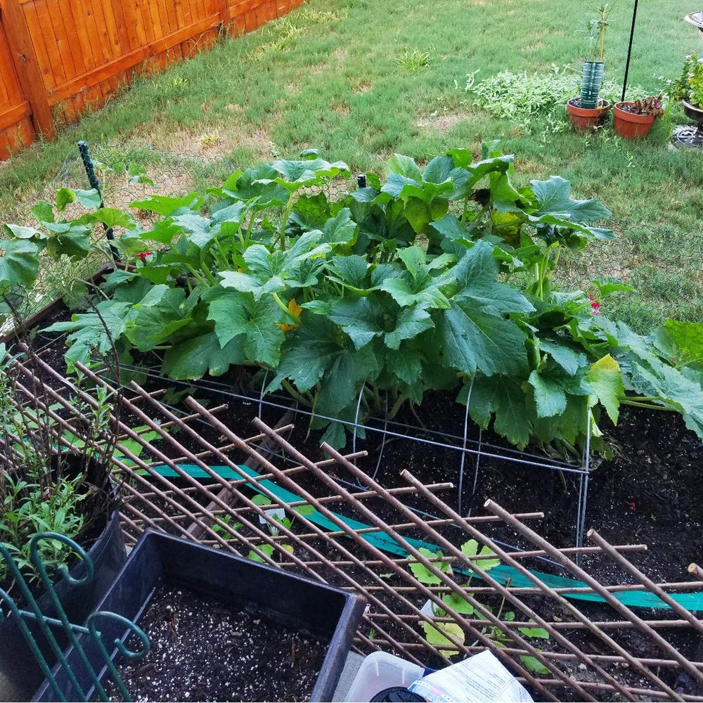 LANDGARDEN trellis supporting climbing rose showing plant training and vertical growth benefit