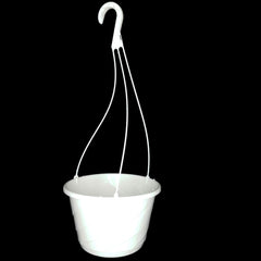 Landmark Plastics 10" Contempo Swirl front view showing rim and saucer benefit: easy display