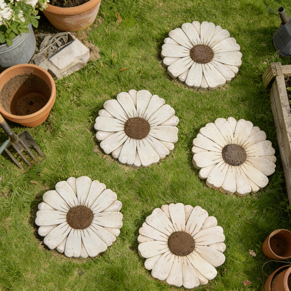 Landoraloria stepping stone placed in garden path adding charm