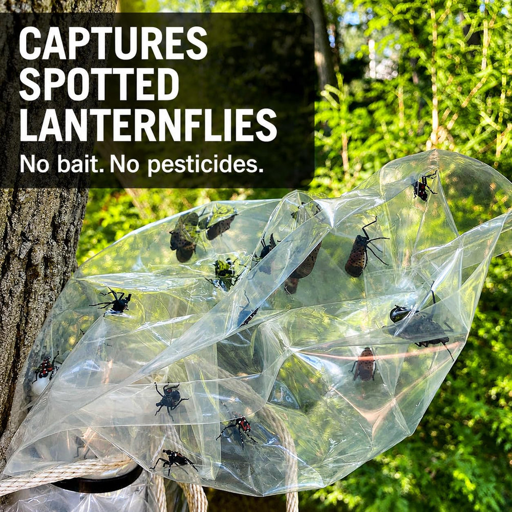 LanternFly Trap Co close-up of collection bag showing secure containment benefit
