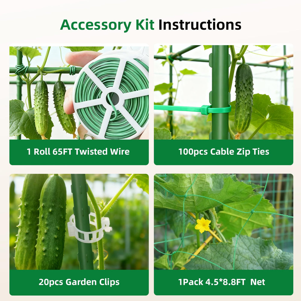 Laodier with cucumber vines on trellis highlighting healthier airflow and sun exposure