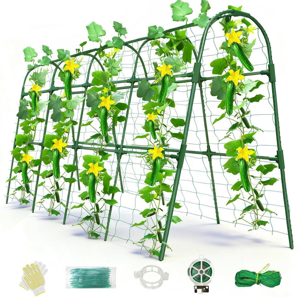 Laodier front view of U-shape trellis showing stable arch and design benefits