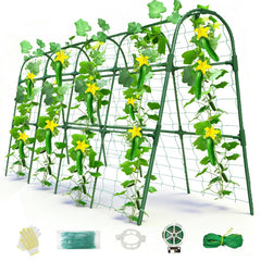 Laodier front view of U-shape trellis showing stable arch and design benefits
