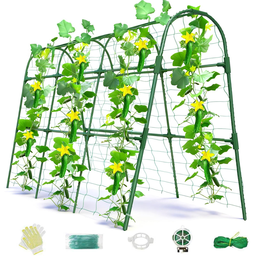Laodier front view arched trellis showing stable dual-row support and space savings