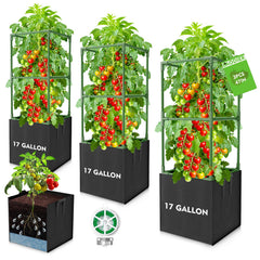 Laodier front view assembled trellis showing stable square support and space