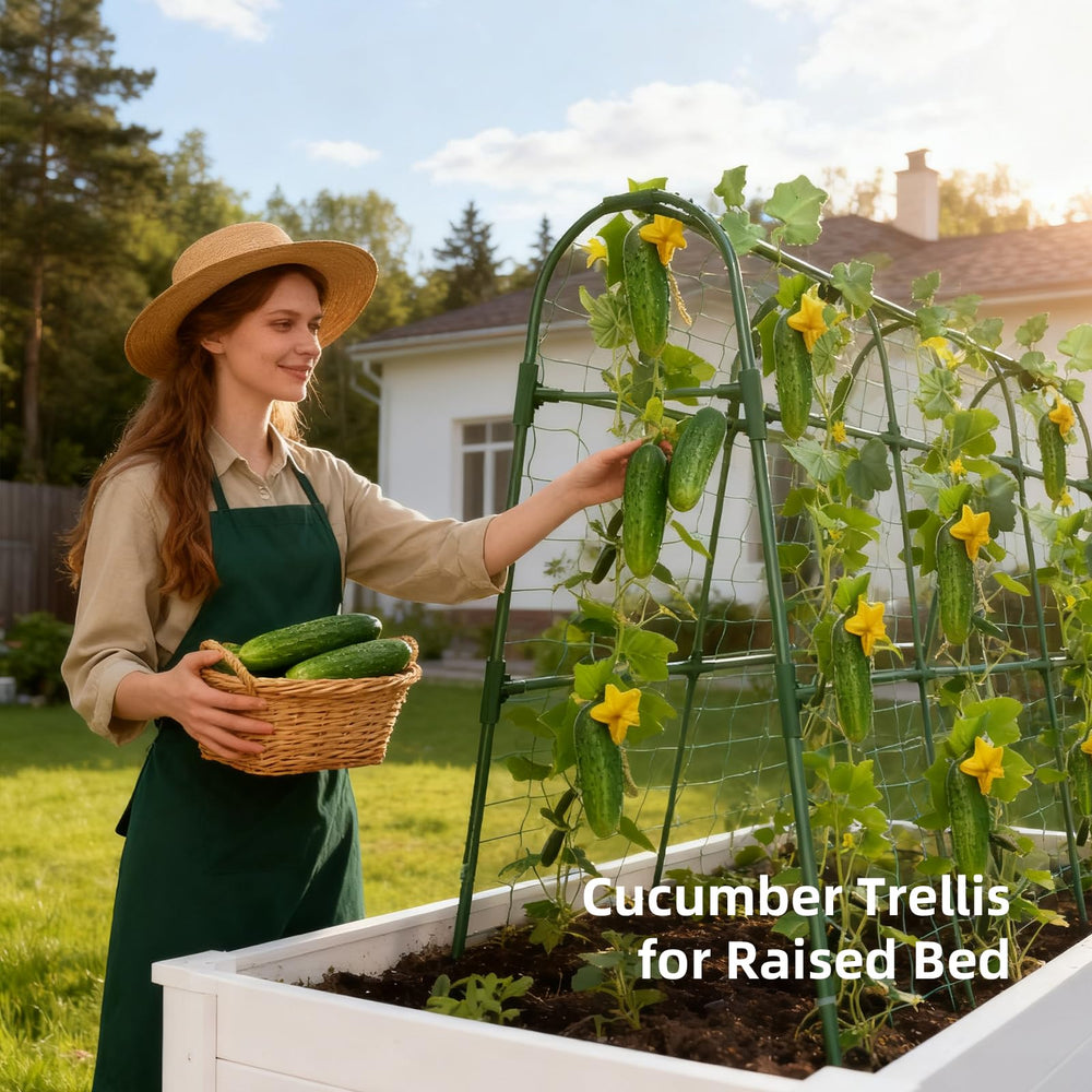 Laodier trellis beside raised bed illustrating size and space-saving advantage