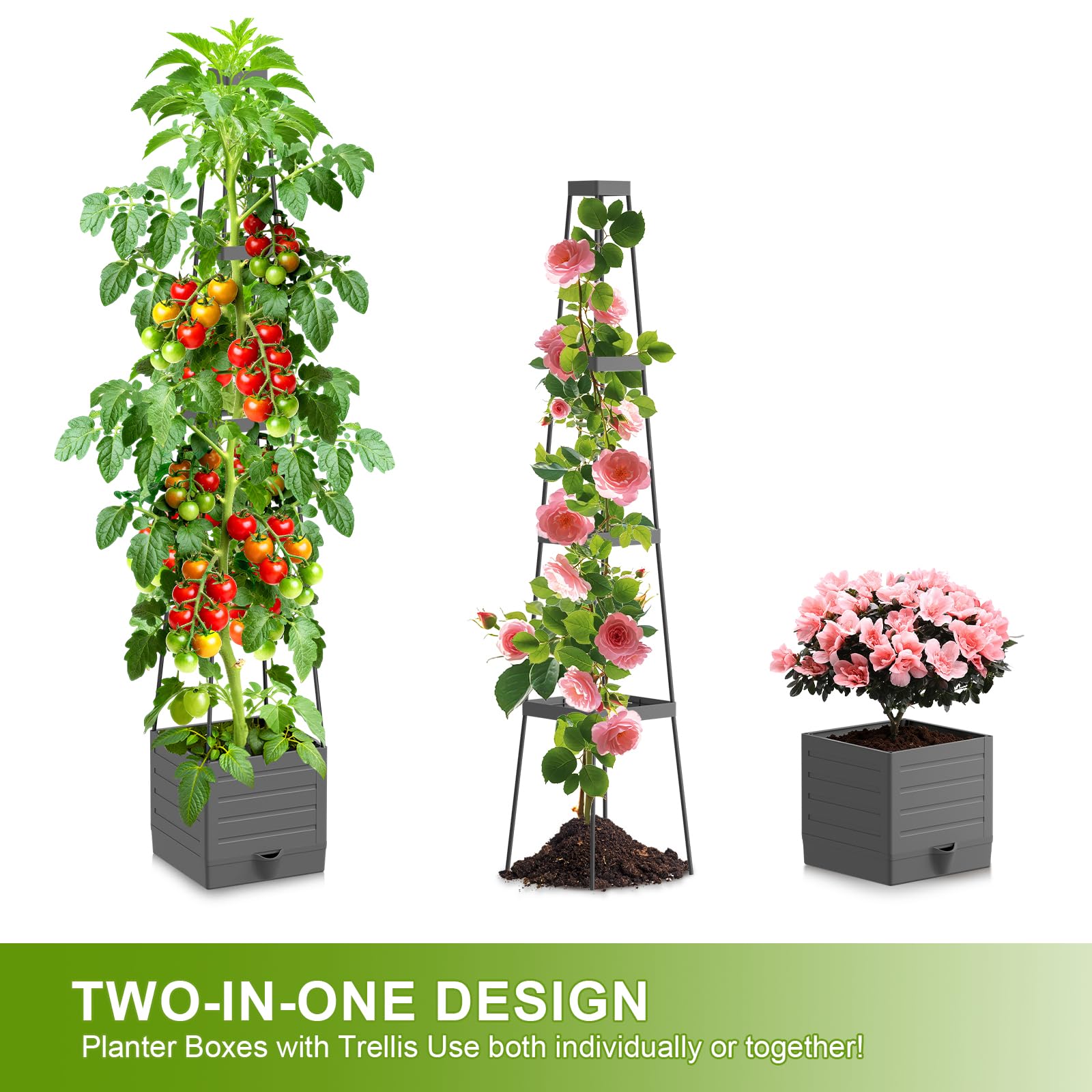 Laodier planter cutaway showing soil depth and root room for stronger plants