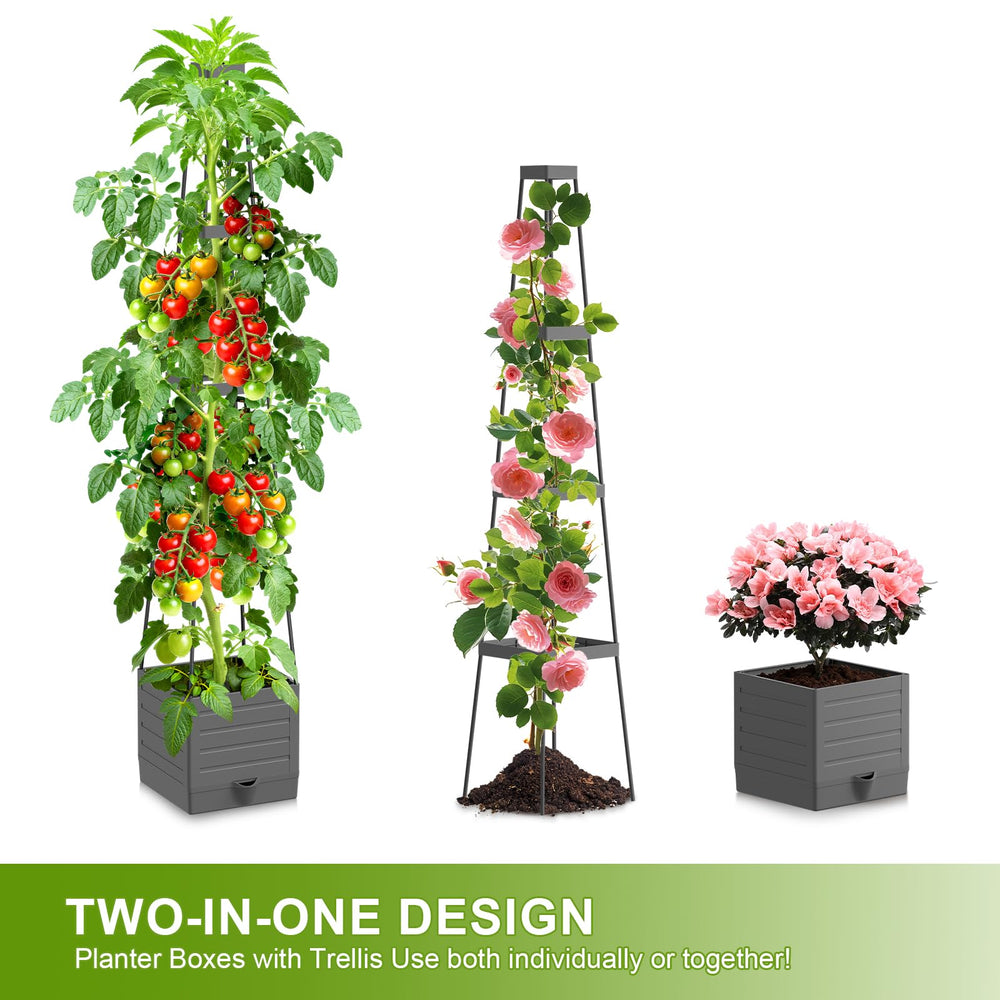 Laodier planter cutaway showing soil depth and root room for stronger plants