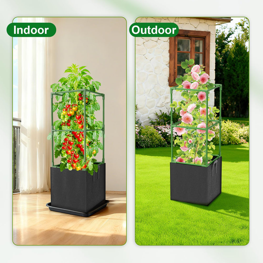 Laodier tomato plant supported in cage improving air circulation around fruit