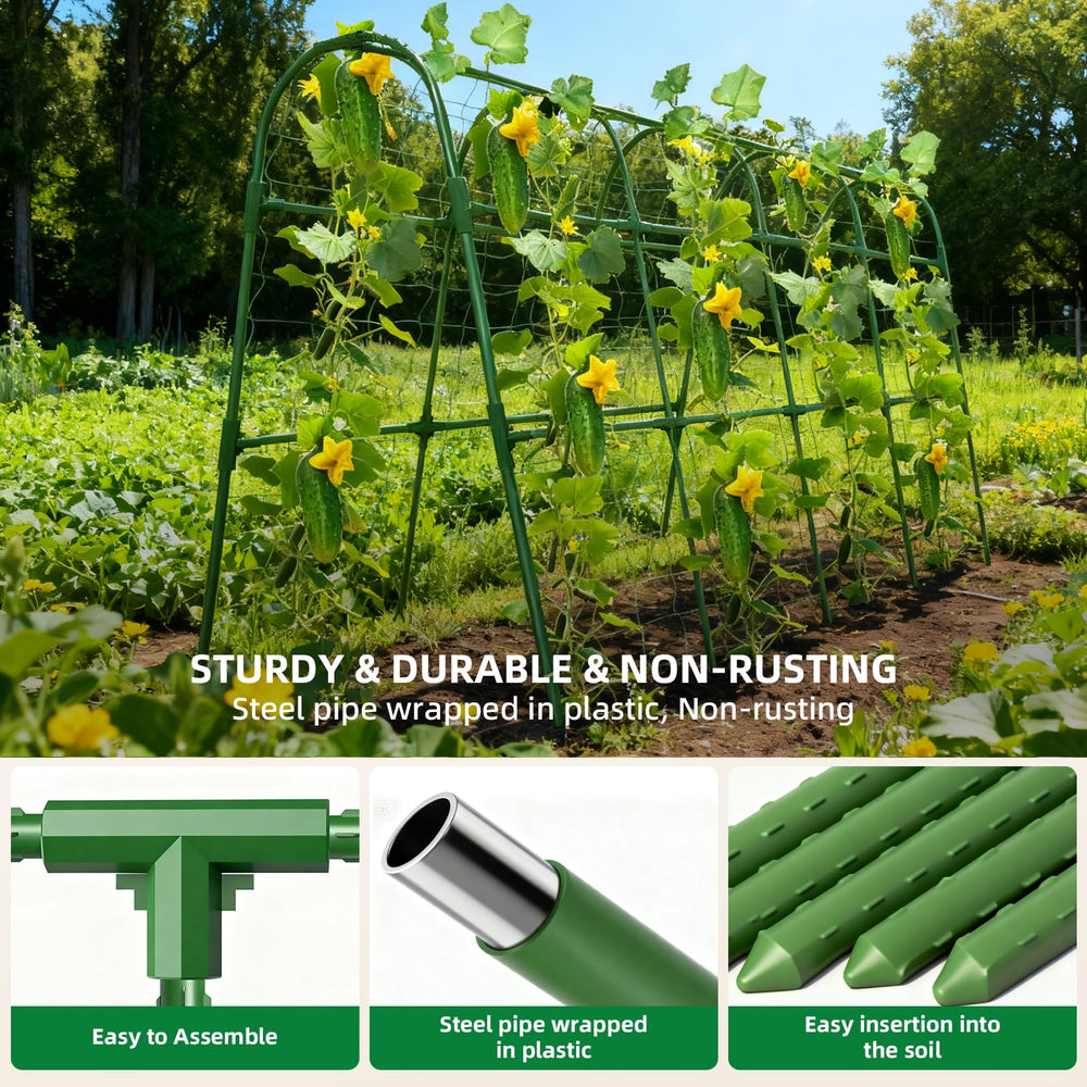 Laodier trellis with netting installed supporting seedlings for orderly growth