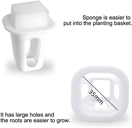LAPOND pump and timer detail showing automated watering convenience and control