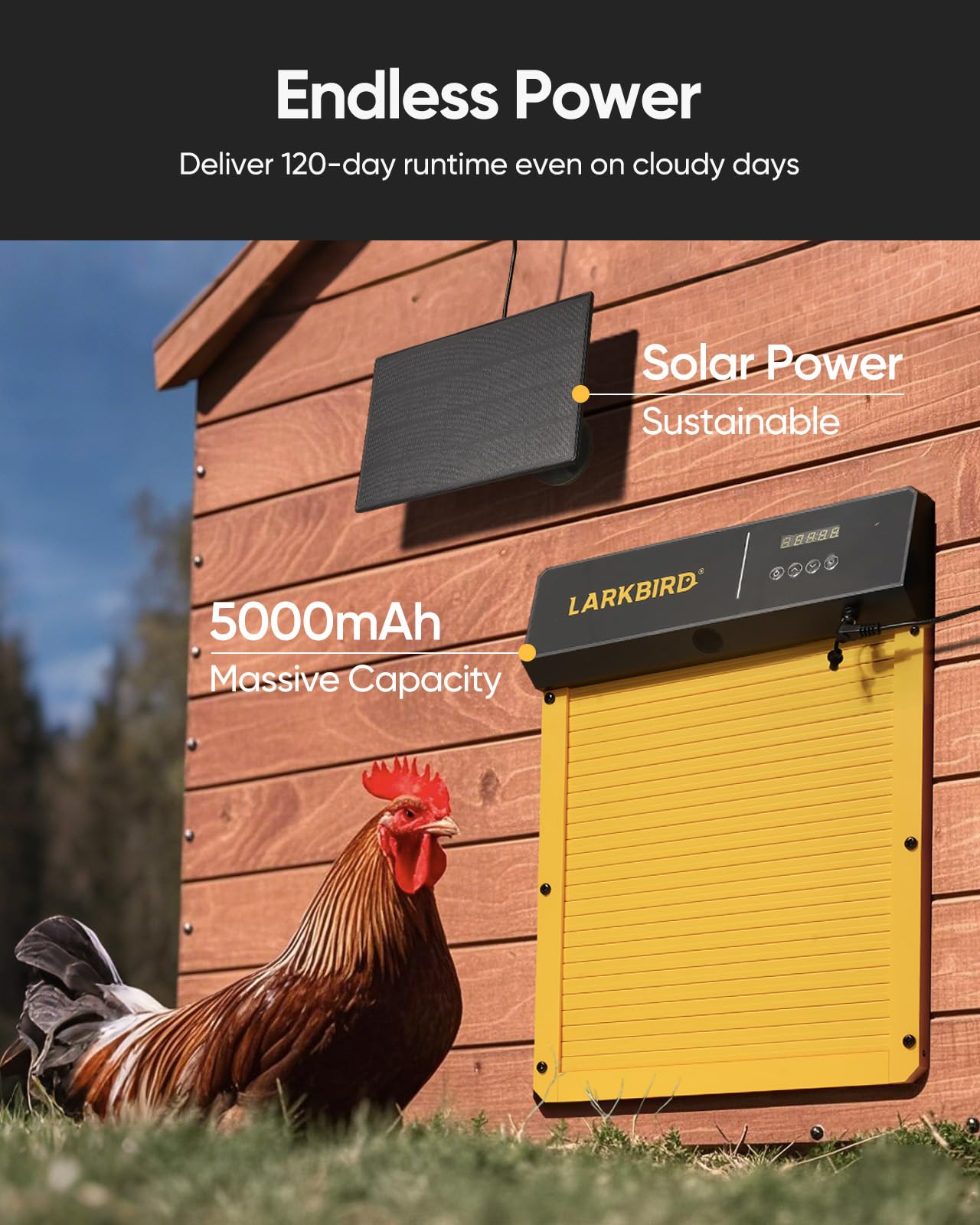 LARKBIRD app screen with schedule and audio options enabling remote control