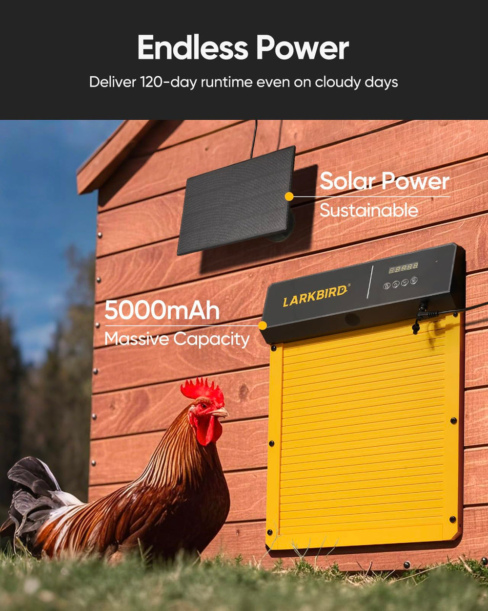 LARKBIRD app screen with schedule and audio options enabling remote control