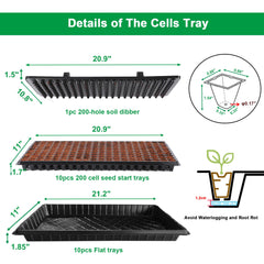 LARNORJE close-up of cell texture and sloped walls showing efficient moisture distribution